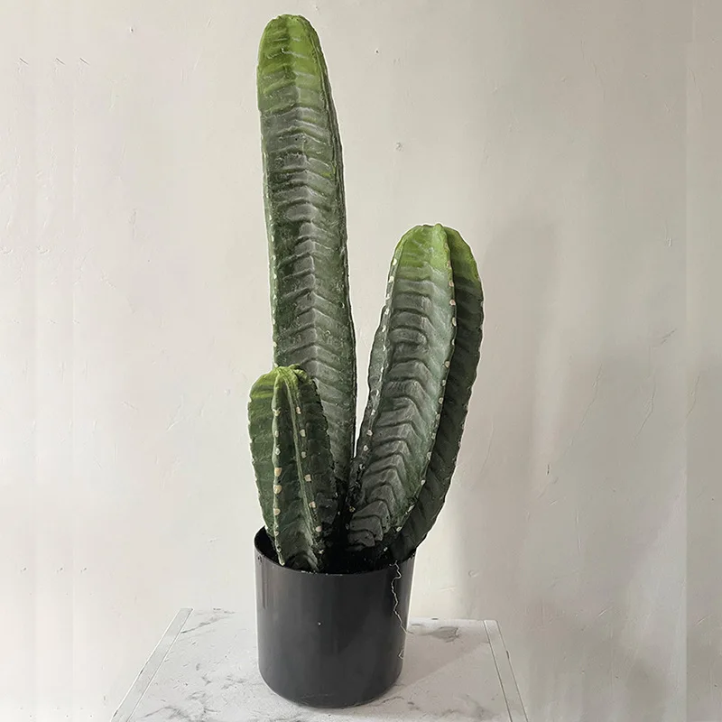 

Simulated Green Plants, Fake Cactus, Cactus, Cactus, Large Indoor Window Layout, Landscaping, Simulated Plants