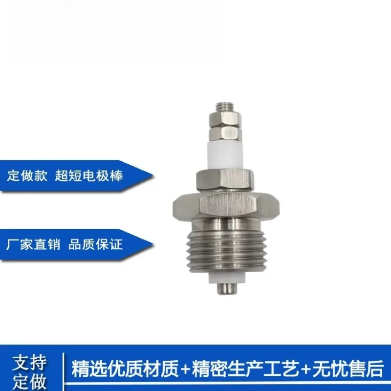 High Quality 304 Stainless Steel Electrode Type, Liquid Level Probe, Induction Switch, Boiler Water Level Tank Probe Sensor