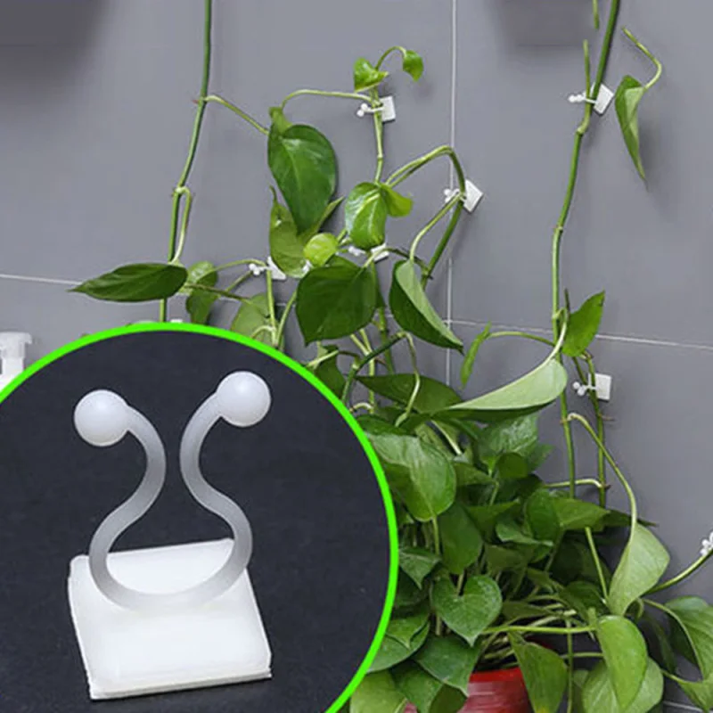 

100PCS/lot Paste Seamless Hook Plants Vine Climbing Wall Fixer DIY Garden Decorations