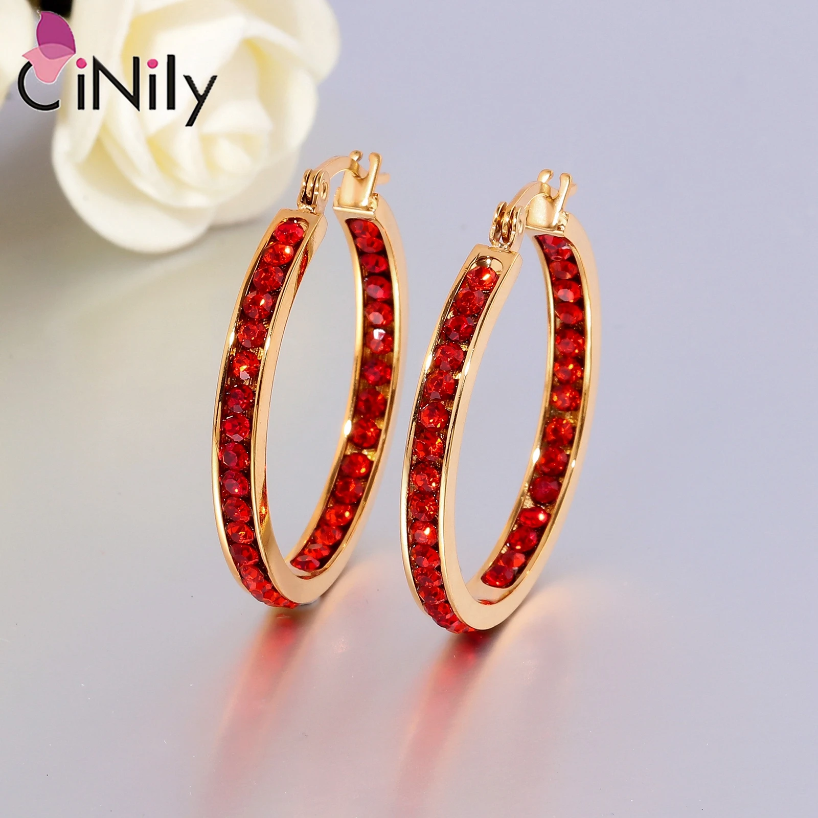 CiNily Stainless Steel Hoop Earrings with Stone Yellow Gold Plated Circle CZ Earring Rock Punk for Women Party Fashion Jewelry