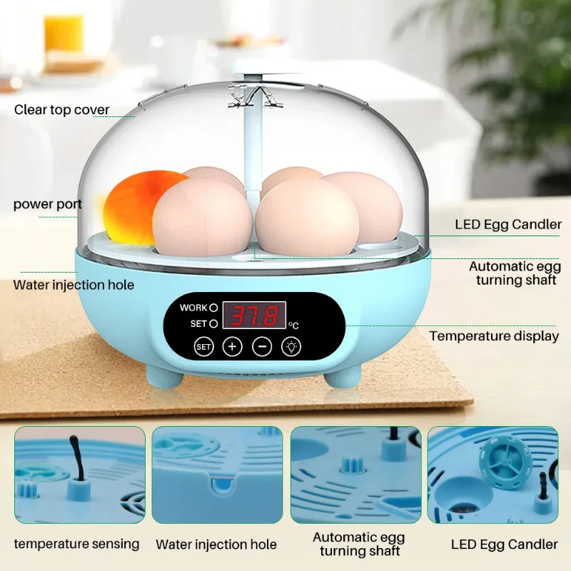 Farming Equipment For Eggs Hatcher Blue 6 Egg Incubators For Home Chicken Duck Eggs Hatching Machine