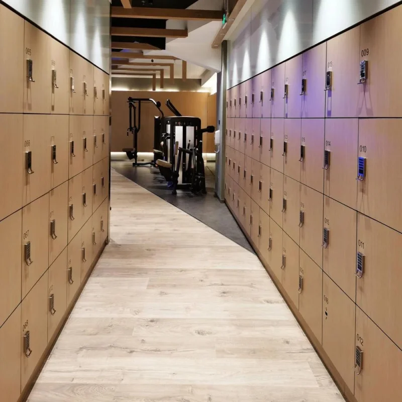 custom.DEBO High Security HPL Lockers Lock Supermarket Locker Electronic Lock