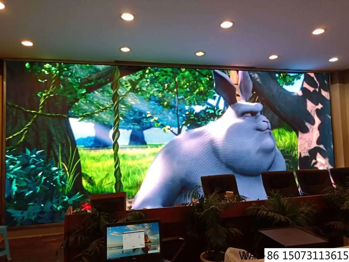 Indoor Led Module P…