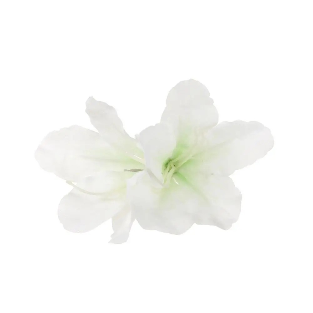 Barrettes à cheveux florales Gladiolus Canna Bohemia, épingles à cheveux de plage hawaïennes, accessoires de coiffure, barrettes de mariée