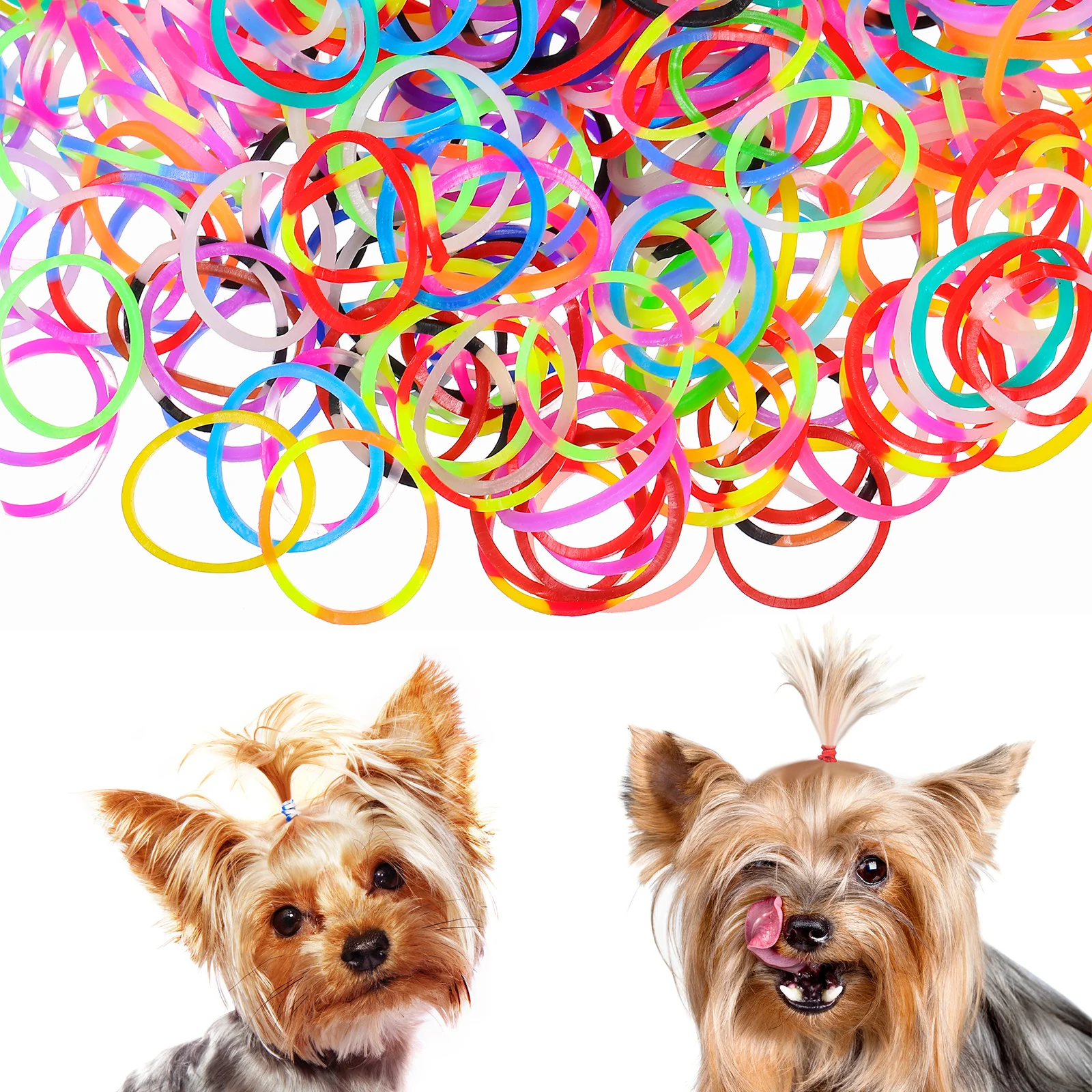 

170 pcs Pet Grooming Rubber Bands Elastic Ties For Dogs Cats Small Pets Cute Accessories Puppy Dog Hair Bows Pet Hair Bands
