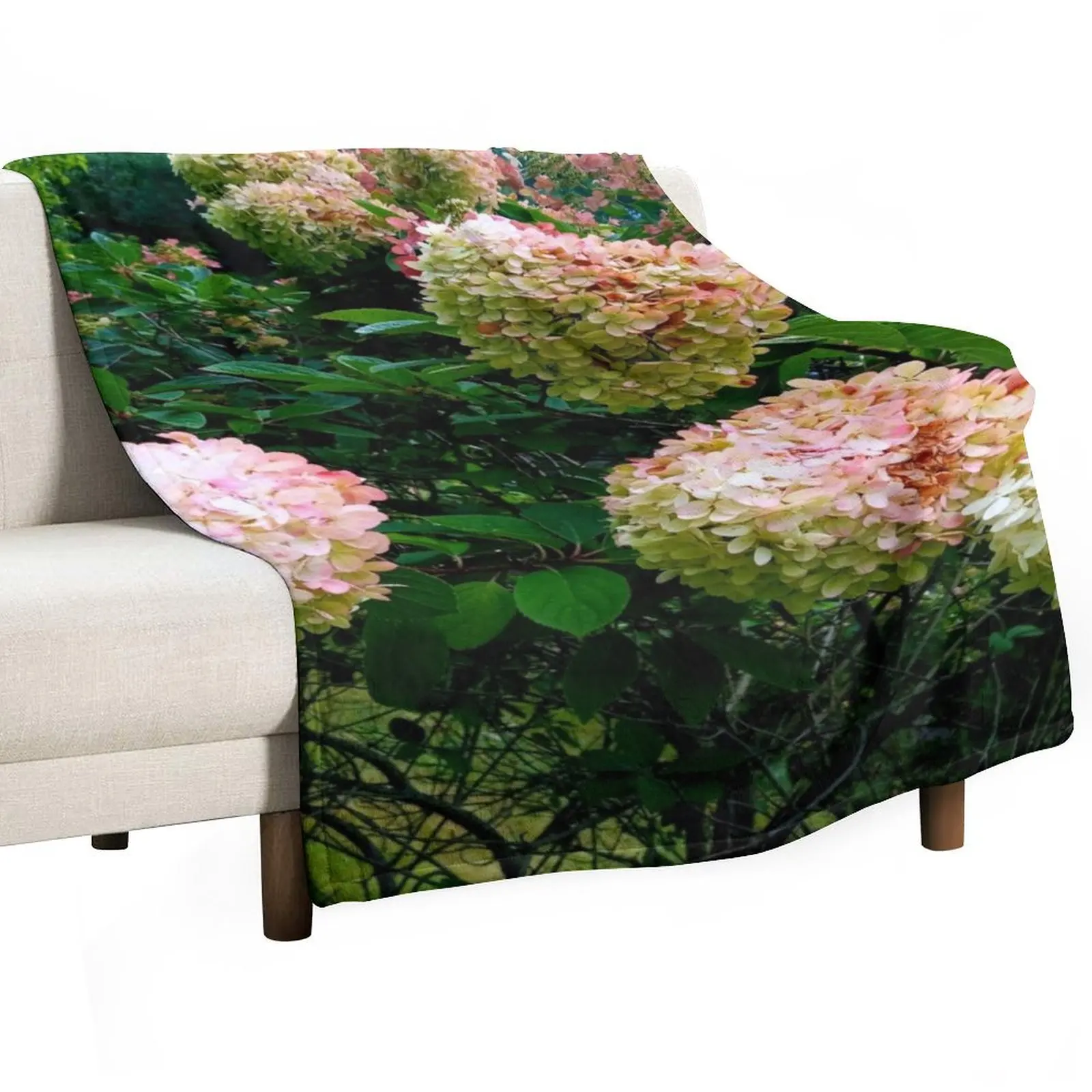 

September Blushing Hydrangea Tree Love Collection #3 Throw Blanket Blankets For Bed Thins Blankets