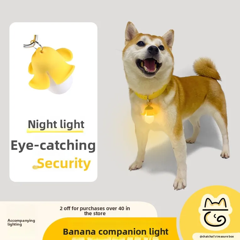 ZHAYA Rechargeable LED Glow Dog Cat Collar Anti Lost Flashing Light Night Safety Pet Necklace for Walking Dark Outdoor