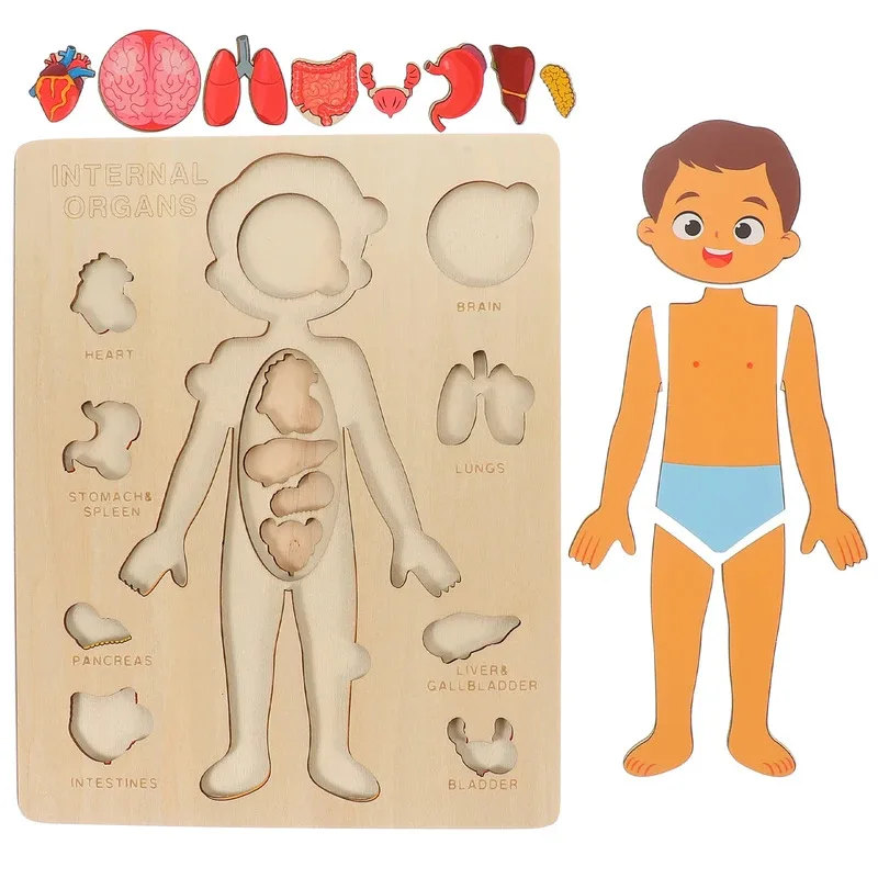 Montessori ปริศนา Busy Board การสอนร่างกายมนุษย์การเรียนรู้ Body Parts สําหรับเด็ก Early Education เกมเด็กวัยหัดเดิน Quiet หนังสือ
