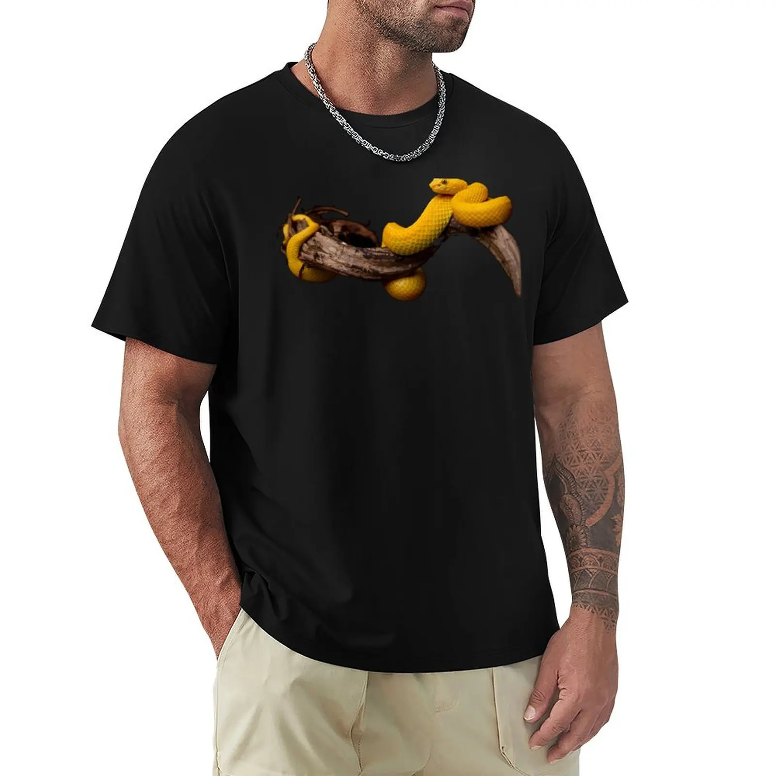 Eyelash Viper - Bothriechis schlegelii T-Shirt Retro Style Print Casual Top