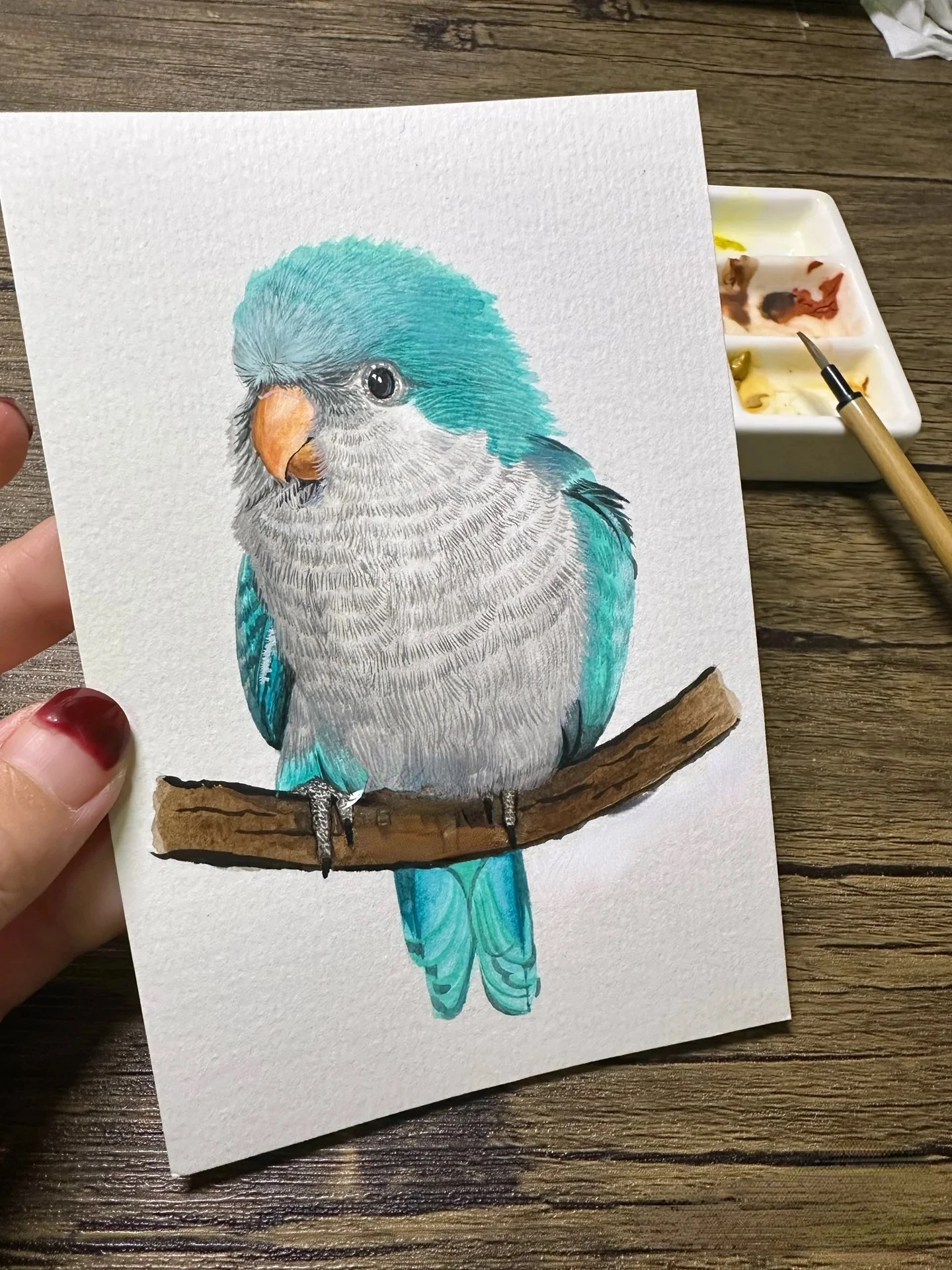 مجموعة الرسم الصيني المصنوع يدويًا مكونة من 12 لونًا - ألوان مائية احترافية بألوان ثابتة، مثالية للرسم والتوضيح