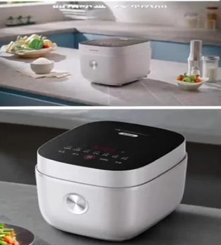 220V riskokare 0 beläggning lämplig för 316L hushålls multifunktionell matlagning FA 10 best sales rais-kokare - №7