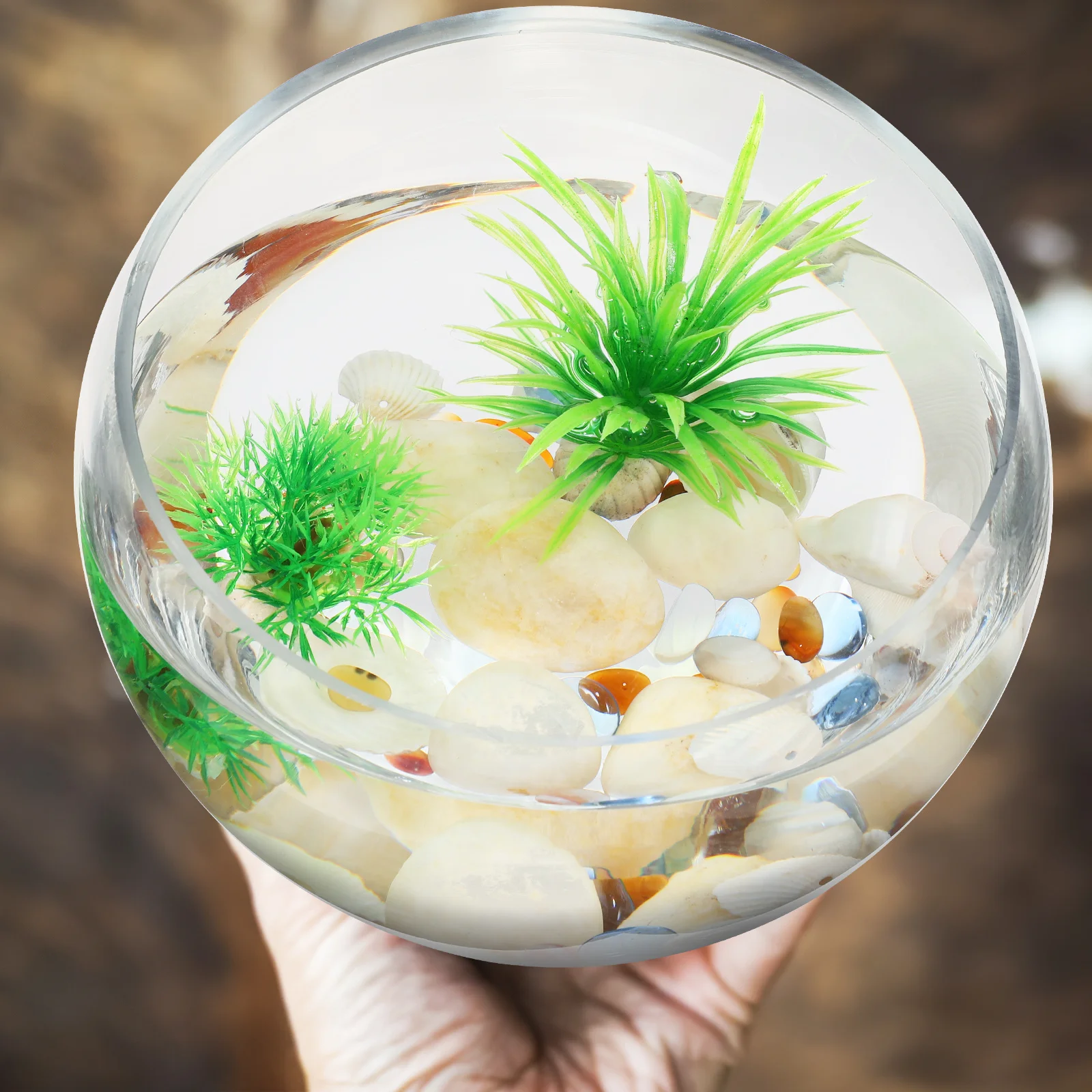 

2Pcs Succulent Glass Planters Half Round Transparent Hydroponic Flower Pots Fish Bowl Vase Glass Fish Bowl Succulents Pots