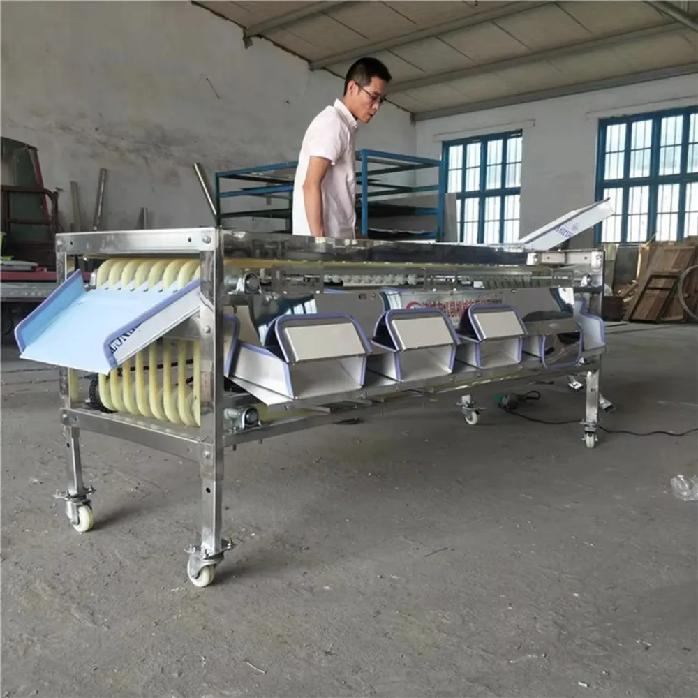 Pathway Garlic Sorting Onion Avocado Sorting Fruit Vegetable Grading Machine