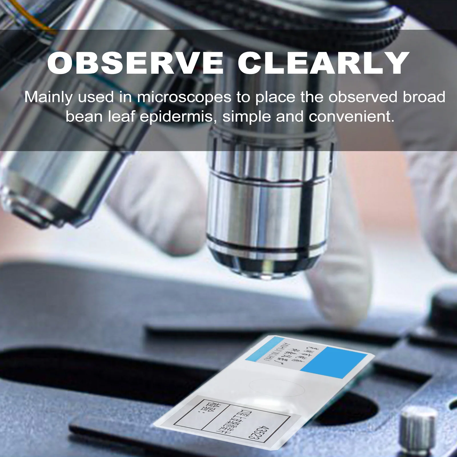 5Pcs Prepared Microscope Slide No Sharper Edges Design for Safe and Reliable Biological Experiments At Home