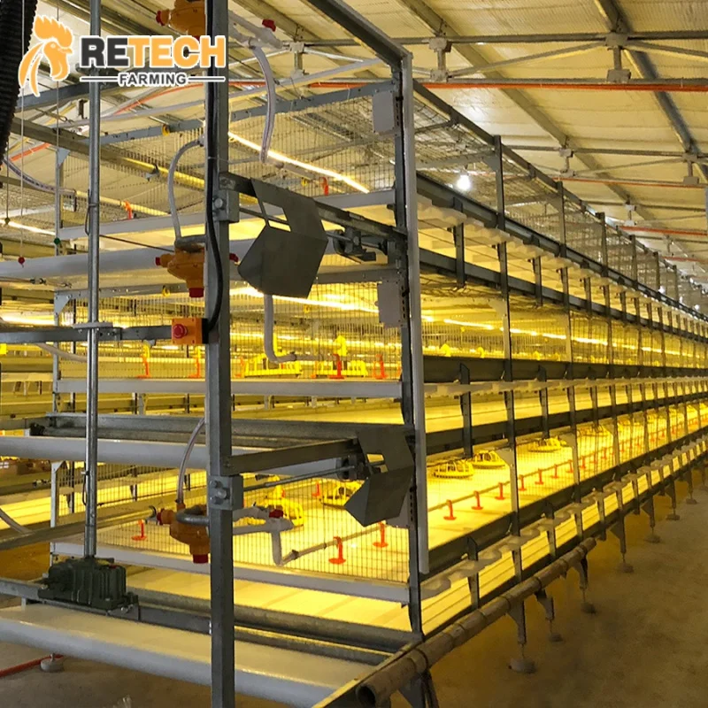 

Автоматическое оборудование для бройлеров и птиц H-типа, батарея, система клетки для цыплят-бройлеров