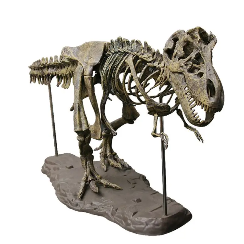 Dinosaur Model Bones Prehistoric Dino Skeleton Figurine Boutique Store Supply Miniature Statue Classroom Award