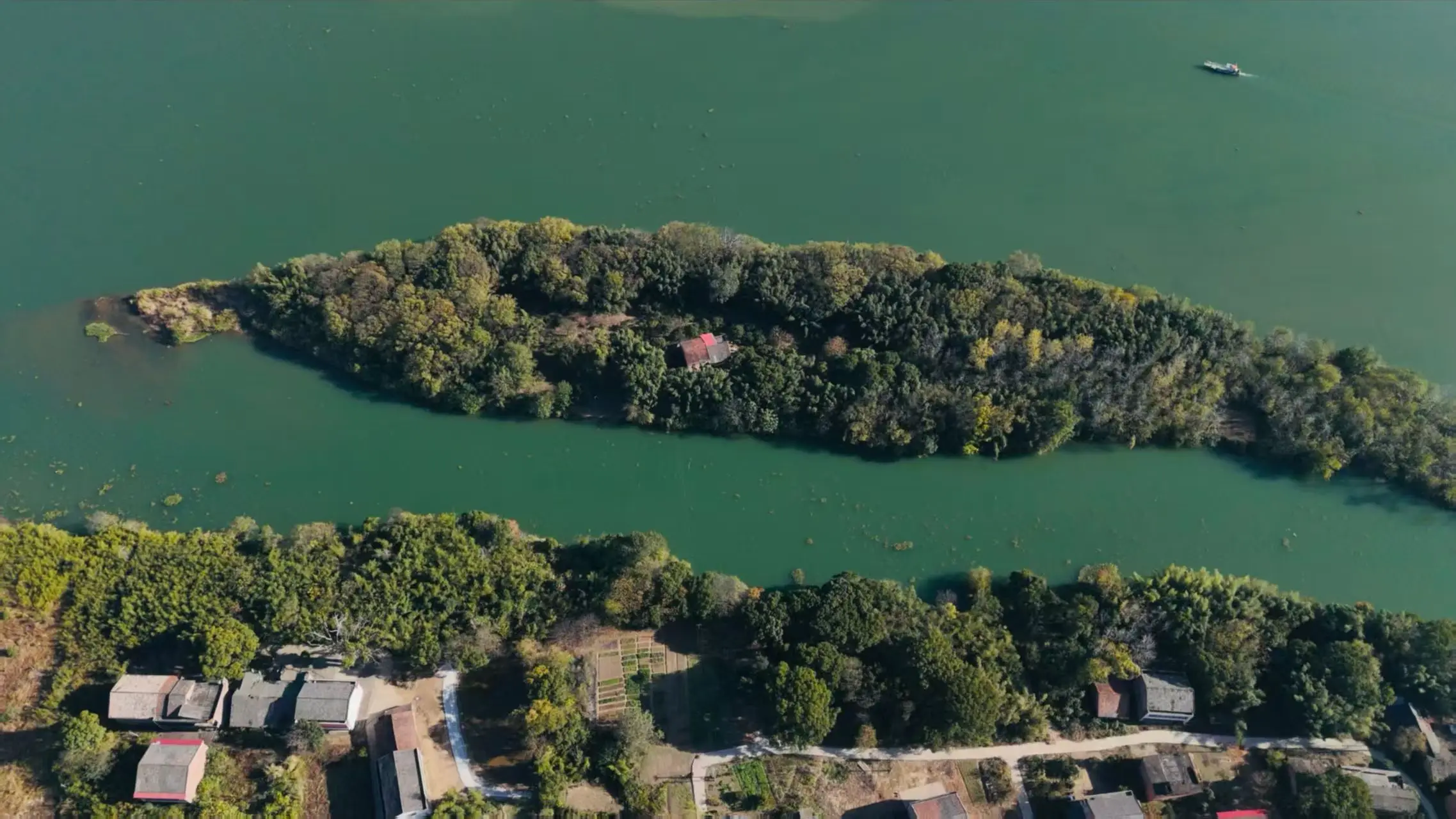 

Unique Smart Toilet with Bidet Built In, Intelligent One Piece Toilet For Modern Bathroom, Auto Open/Close Seat, Foot Sensor