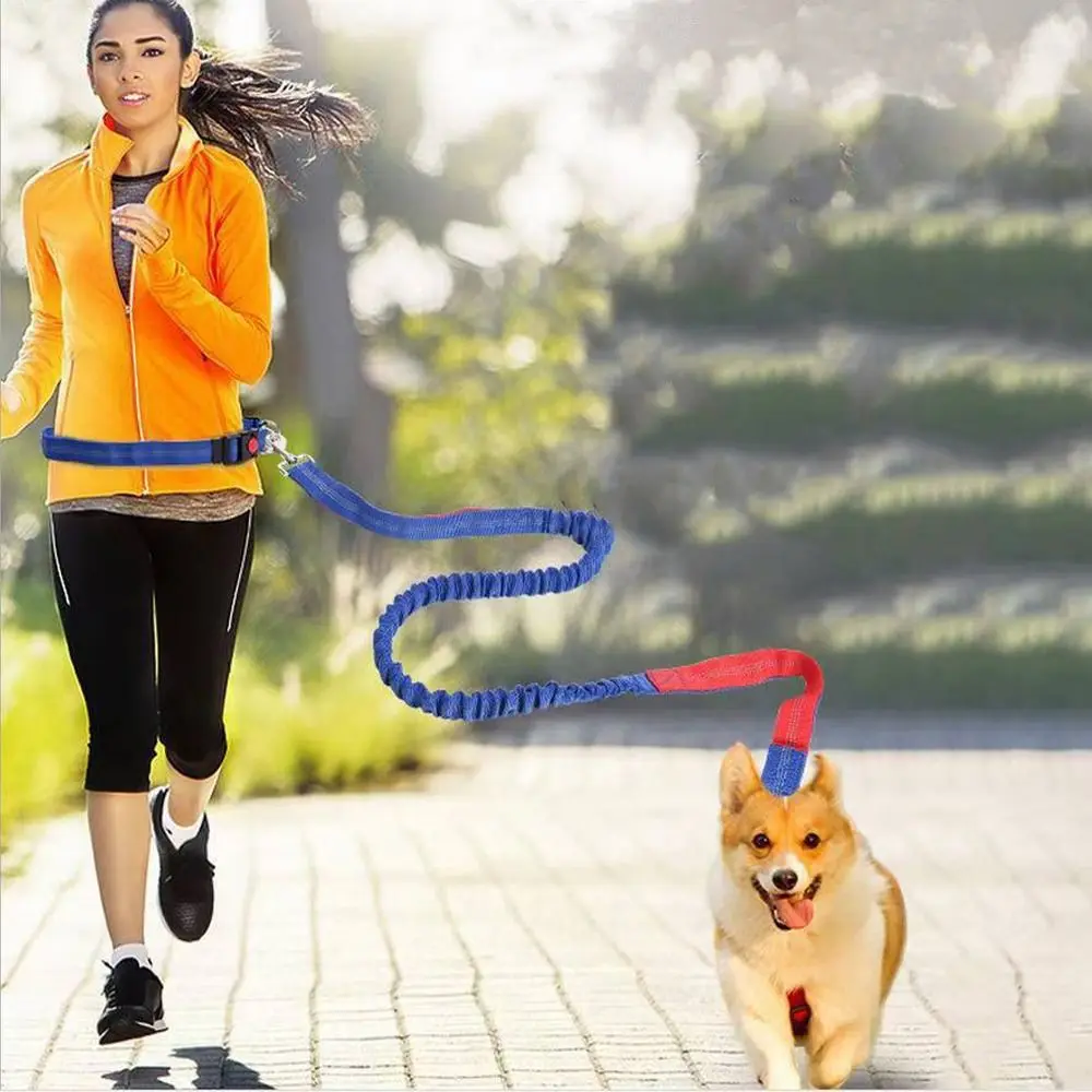 اكسسوارات الكلاب مزدوجة تمتد الحيوانات الأليفة المشي المقود عاكس مطاطا تشغيل الكلب المقود حزام الخصر اليد الحرة الكلب المقود الركض