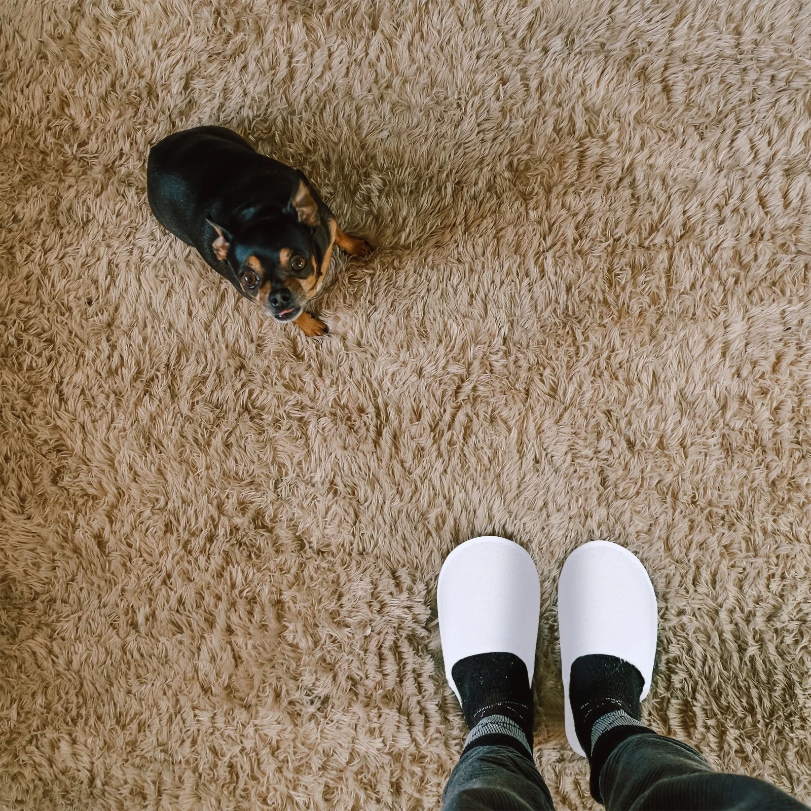 

24 пары одноразовых парикмахерских тапочек из кораллового флиса, нескользящие, легкие, портативные, для отелей, дома, спа-салонов, путешествий