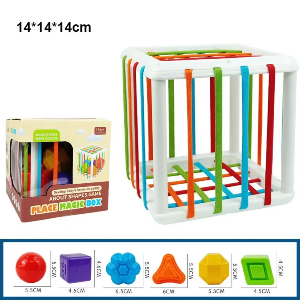 5 Styles Montessori Shape Sorter Cube Sorting Game Plastic Rainbow Colorful Blocks Early Education