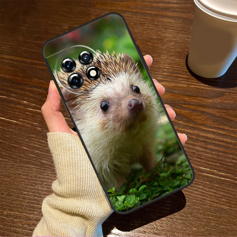 Cute Little Hedgehog Case For OnePlus Nord 3 2T CE 2 Lite N10 N20 N30 OnePlus 11 10T 10R 9RT 8T 8 9 10 Pro Cover