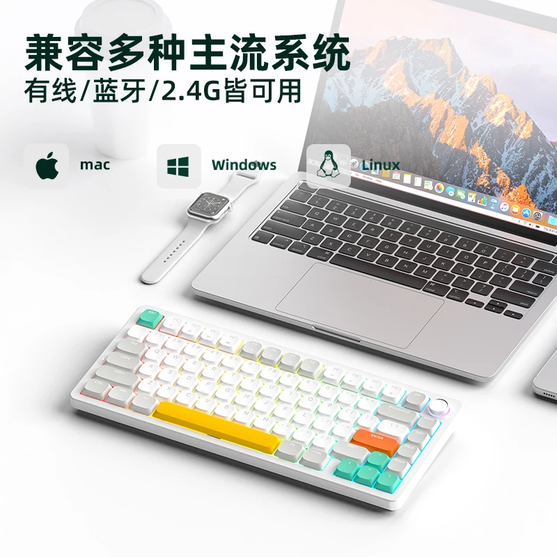 Colorreco A75 Keyboard Mekanis Bluetooth Nirkabel Kustom Tiga Mode Kailh Gasket Poros Kurcaci Sakelar Profil Rendah Kantor