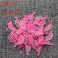 1000Pcs Color 5