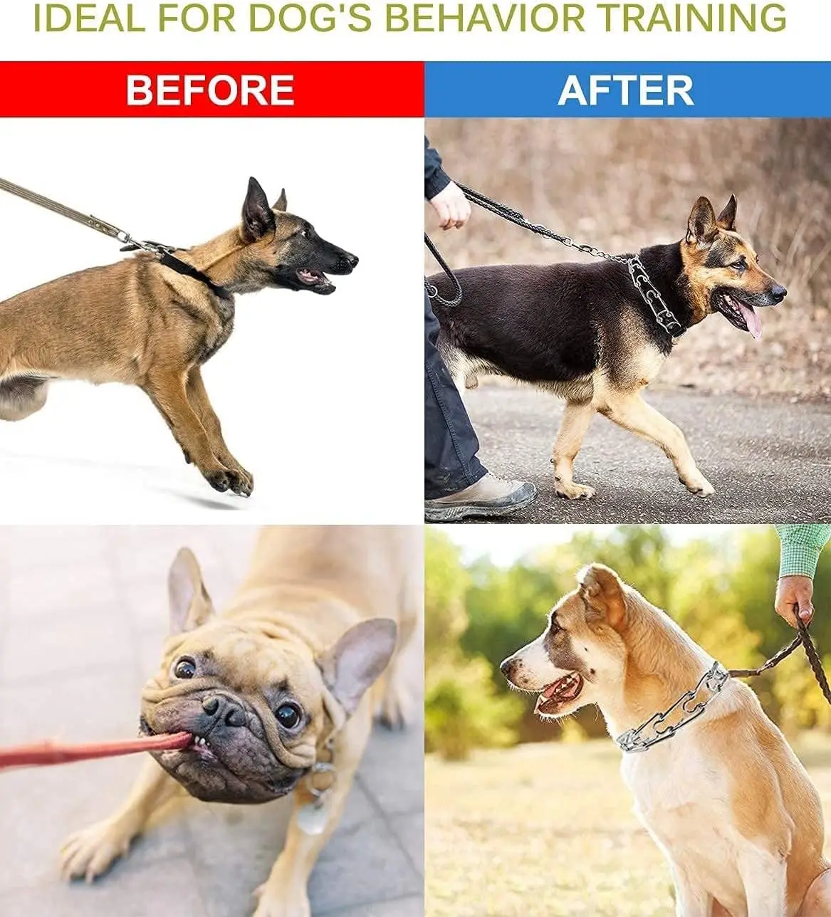 Hundetrainingshalsband mit Schnellverschluss, Verstellbares Edelstahl-Prickelhalsband für Hunde, Nylon-Schutzhülle – Detail 11