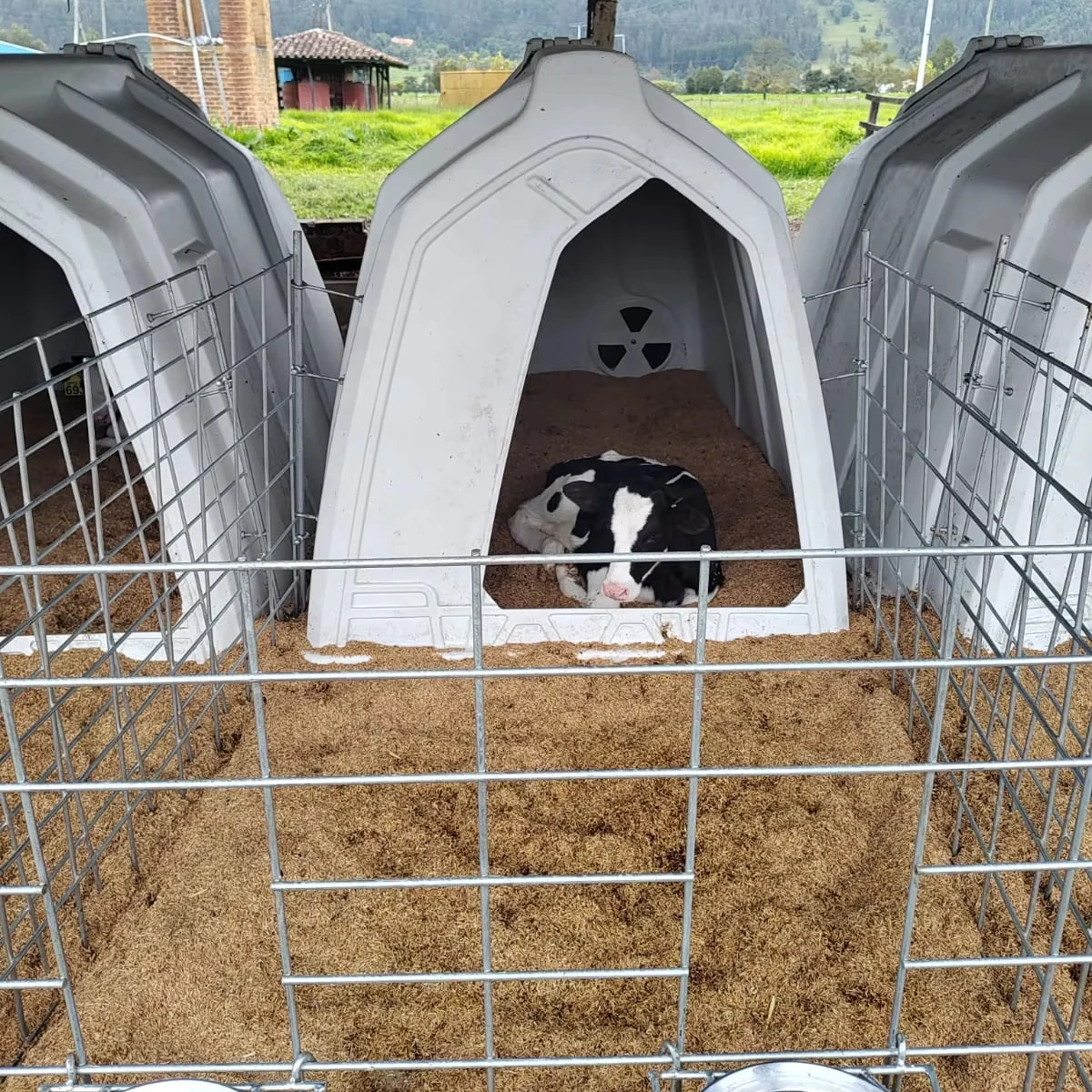 

High Quality Comfortable Front Door Calf Hutch Farm Equipment Plastic Diary Cow Comfortable Livestock House With Young Sheep