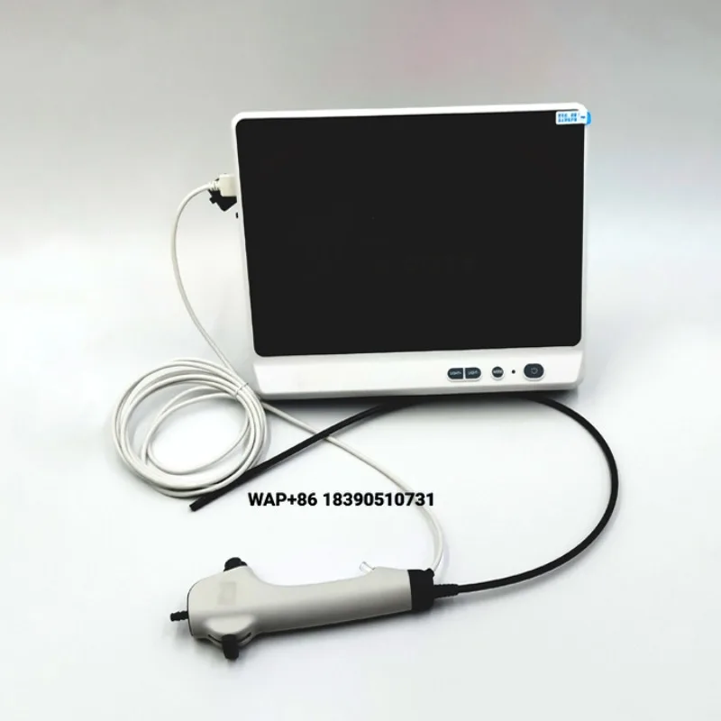 A high definition disposable flexible endoscope for medical and veterinary urology with high definition imaging