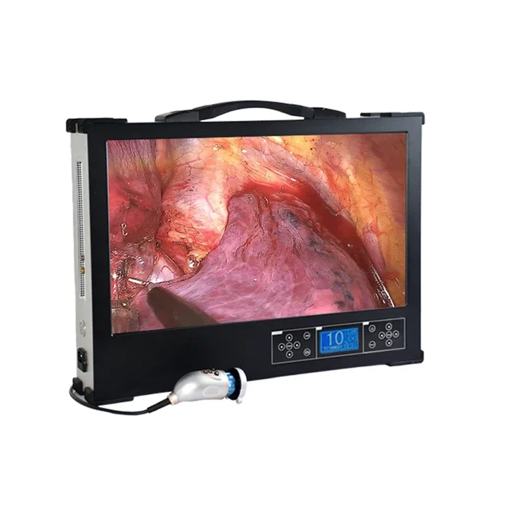 Manufacturer Hot sale 3 In1 Full HD Medical Endoscopic Camera with 100W Cold Light Source