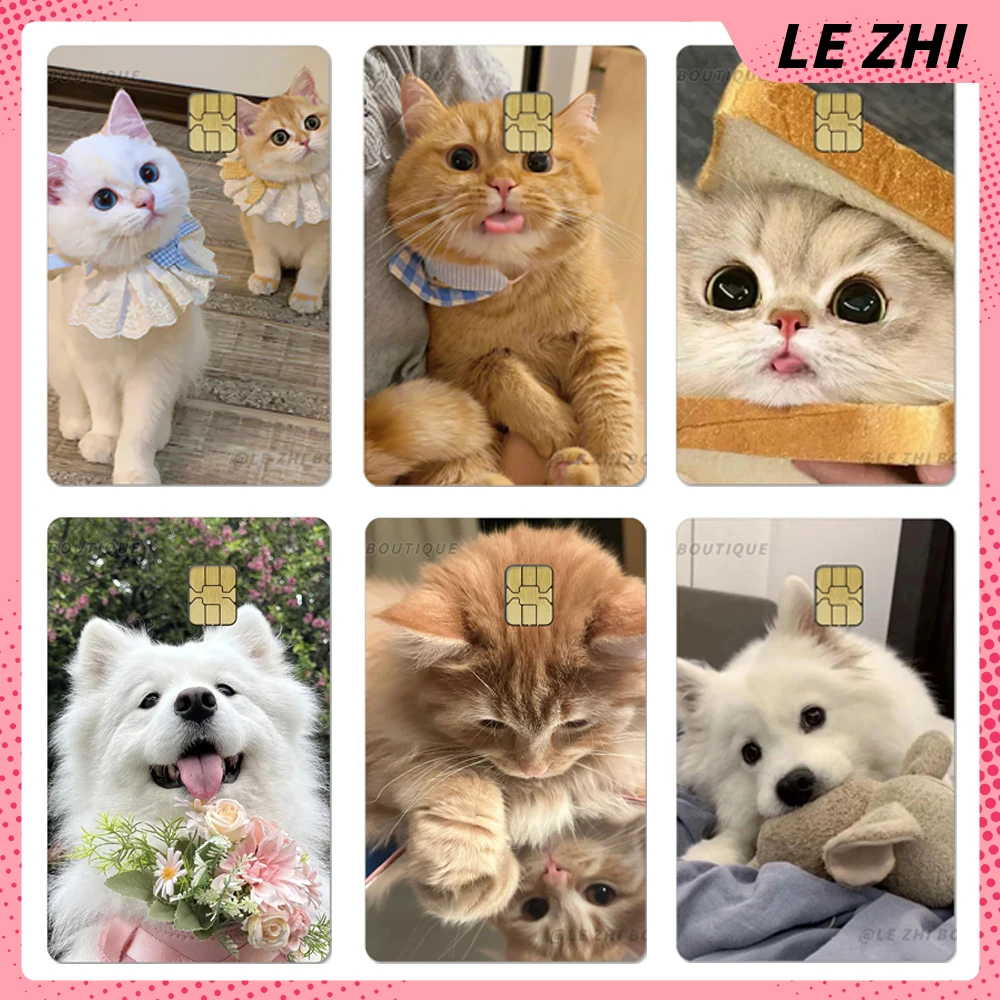 1Pc Lovely Cat Dog Shining Rainbow Star Love Protective Film Skin Sticker Diy Credit Card Debit Bank Card Waterproof Sticker