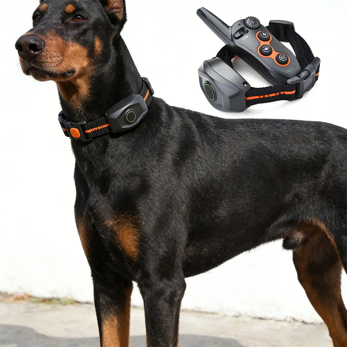 

Dog Training Collar with 1300ft Remote Range 3 Training Modes for Large Medium Small Dogs Rechargable Waterproof Electric Collar
