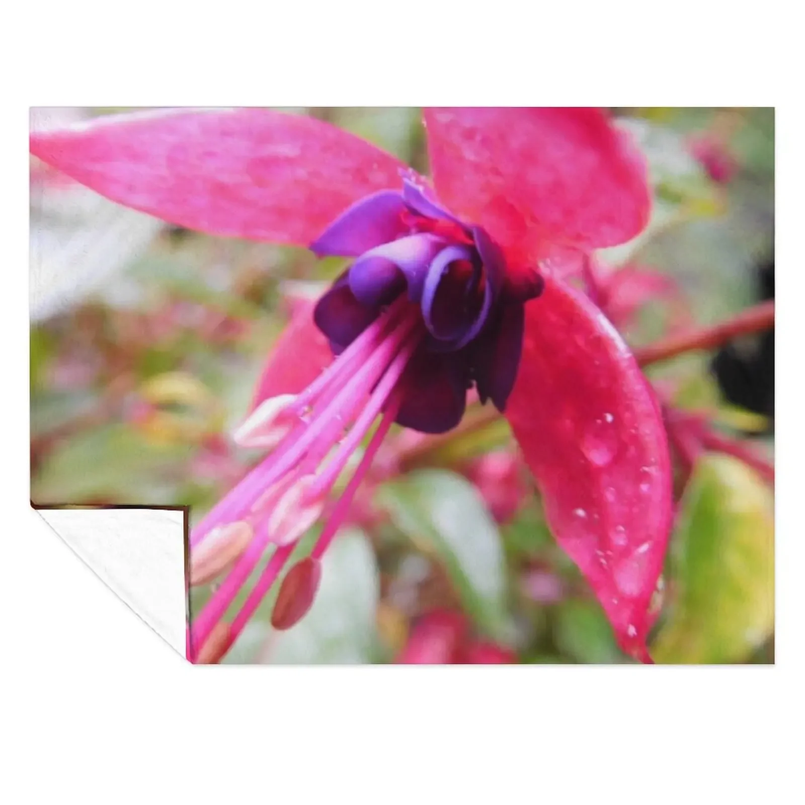 

Fuschia Flower w/ Water Droplets 240 Throw Blanket Soft Beds Bed Fashionable christmas decoration Vintage Blankets