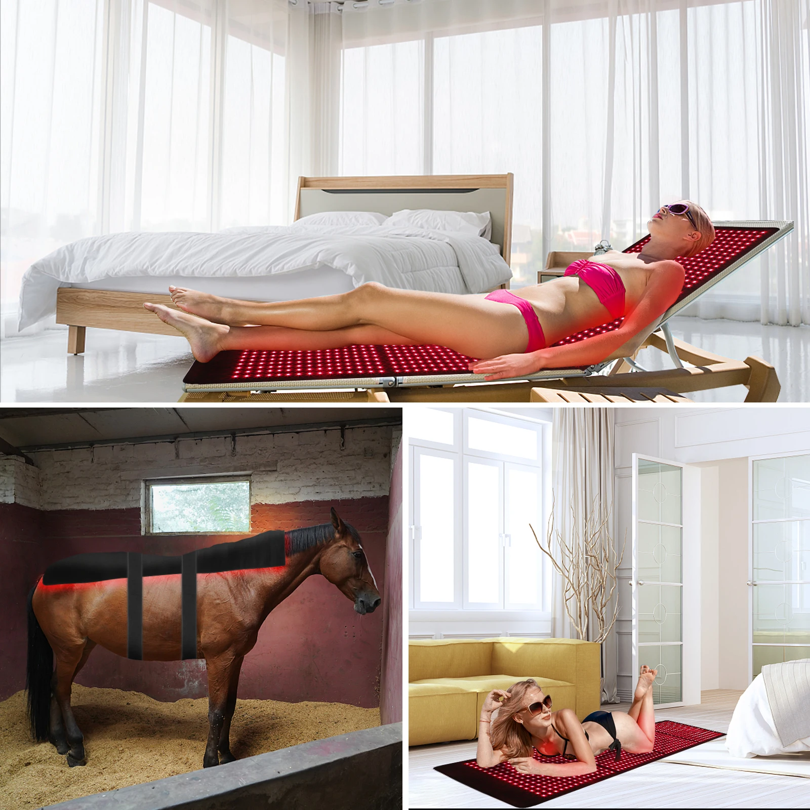 Ems Heupgordel Bodytech Trainingspak Body