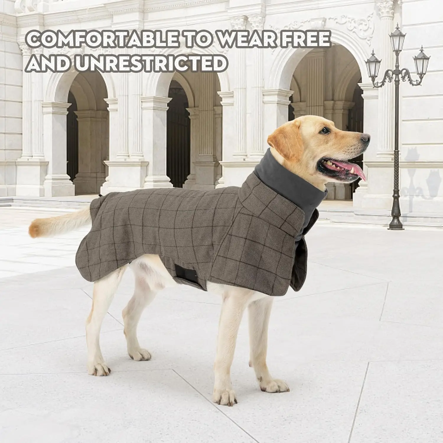Dog Tuxedo Shirt, Stylish Cold Weather Coat,Wedding Shirt Formal Tuxedo Costume,Detective Prince Wedding Suit for S/M/Large Dogs - view 6
