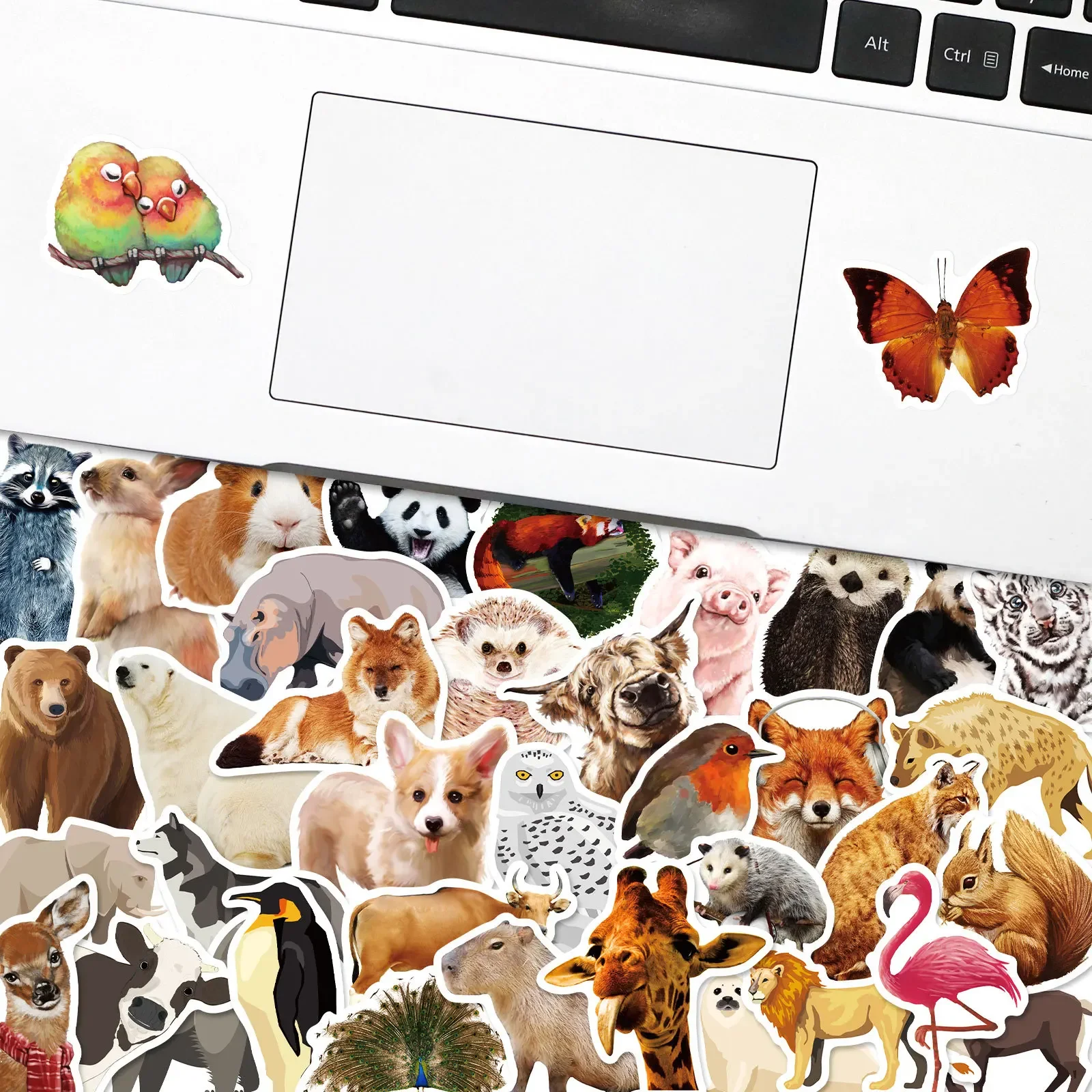 50PCS Cute Zoo Animals Sticker Waterproof Decals Skateboard Phone Kettle Bike Laptop Fridge Graffiti Kids Awards Children Reward