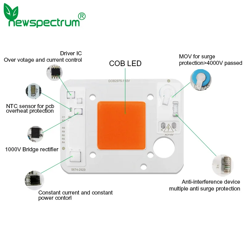 50W LED COB Chip 110V 220V Luminous Size 29X29mm High Brightness Full Spectrum For Outdoor Indoor Plant Seedling Hydroponice