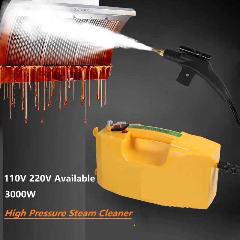 

110V 220V 3000W Steam Cleaner Electric Pumping Sterilization Disinfector Steam Generator Washer Car Hood Air Conditioner Cleaner