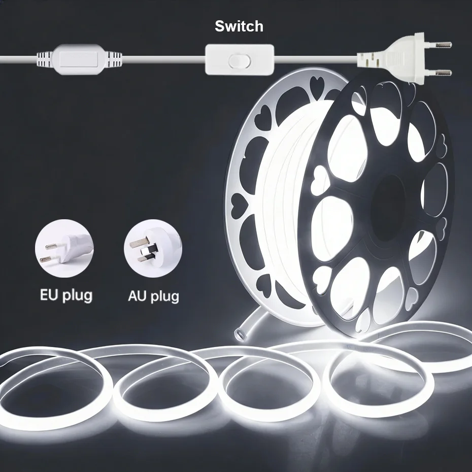 Eu Au Switch Plug 2…