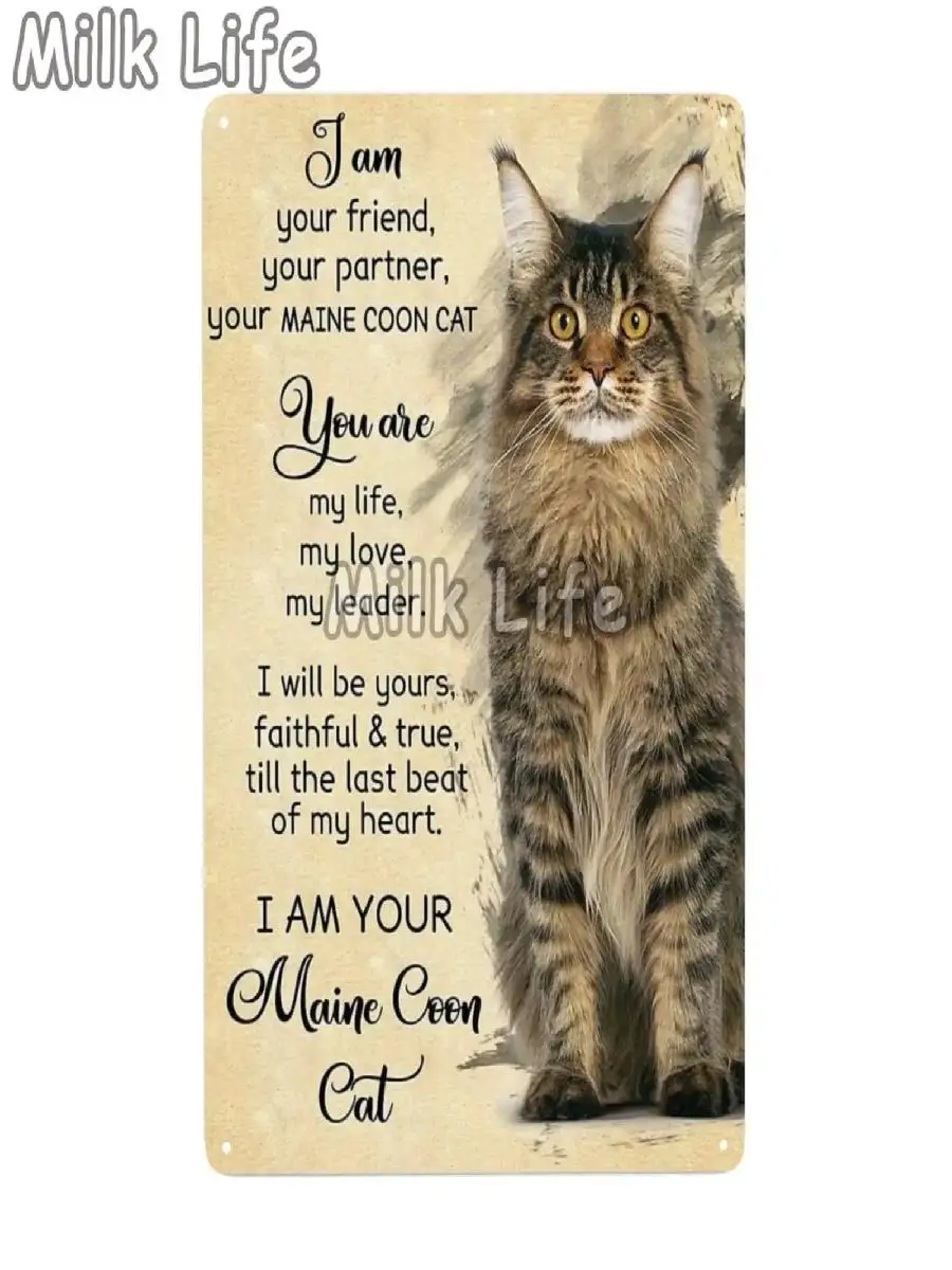 Maine Coon Cat Metal Wall Art Plaque  x Inches  Home Decor Tin Sign Poster  Pet Store Decorations Mural Crafts Wall Decor