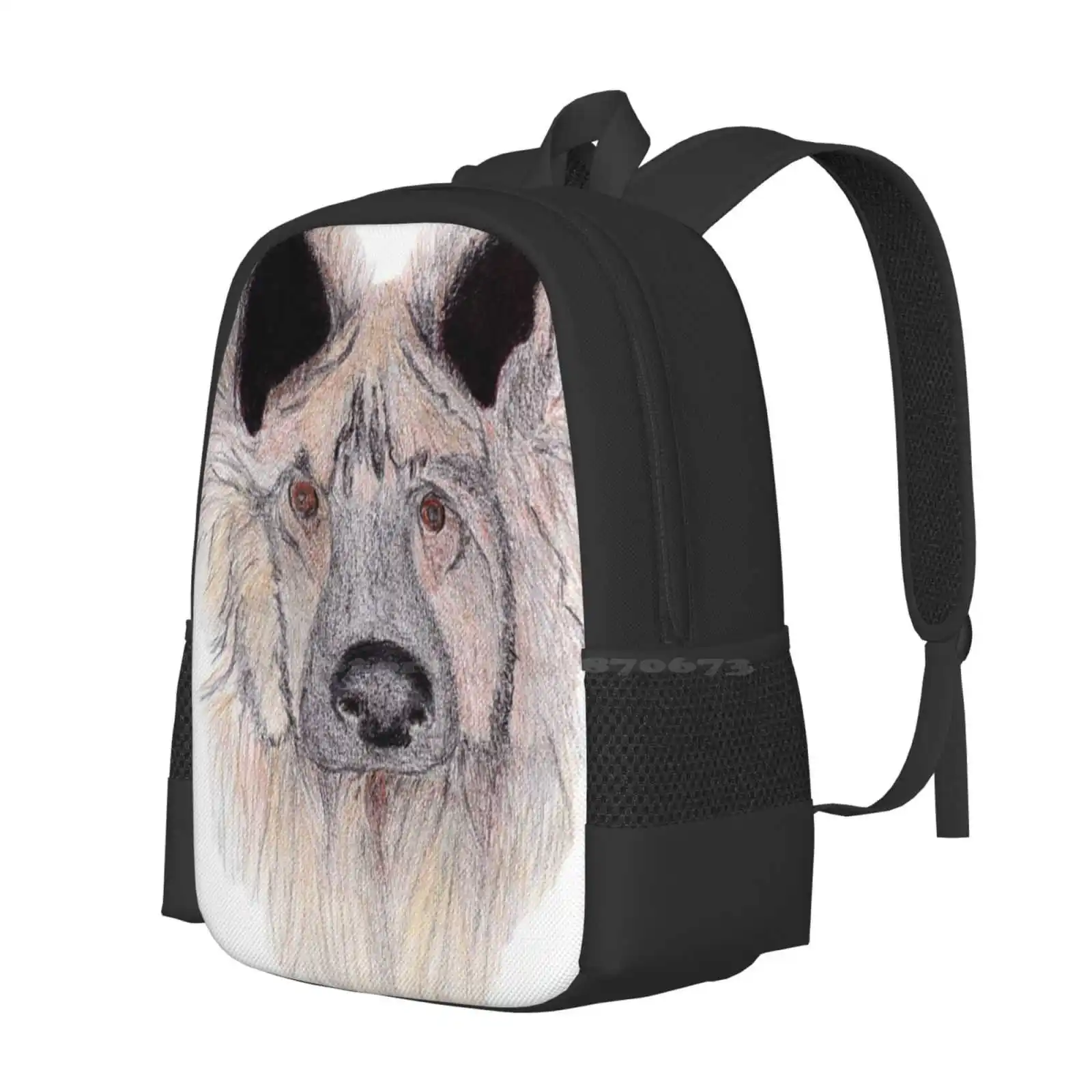 Harry Because He Is Harry Hot Sale Schoolbag Backpack Fashion Bags Dog Harry Big Nose Pet Brown Eyes Cute Animal Color Pencil