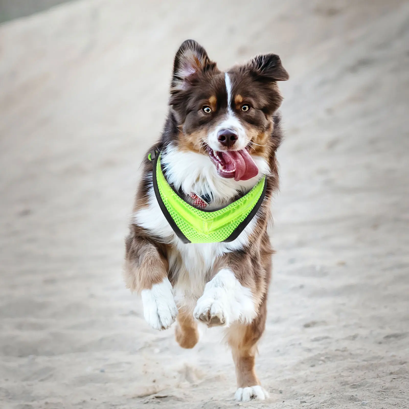 

1Set Vest with LED Lights Rechargeable Luminous Vest for Pets Breathable Design for Active Night Adventures