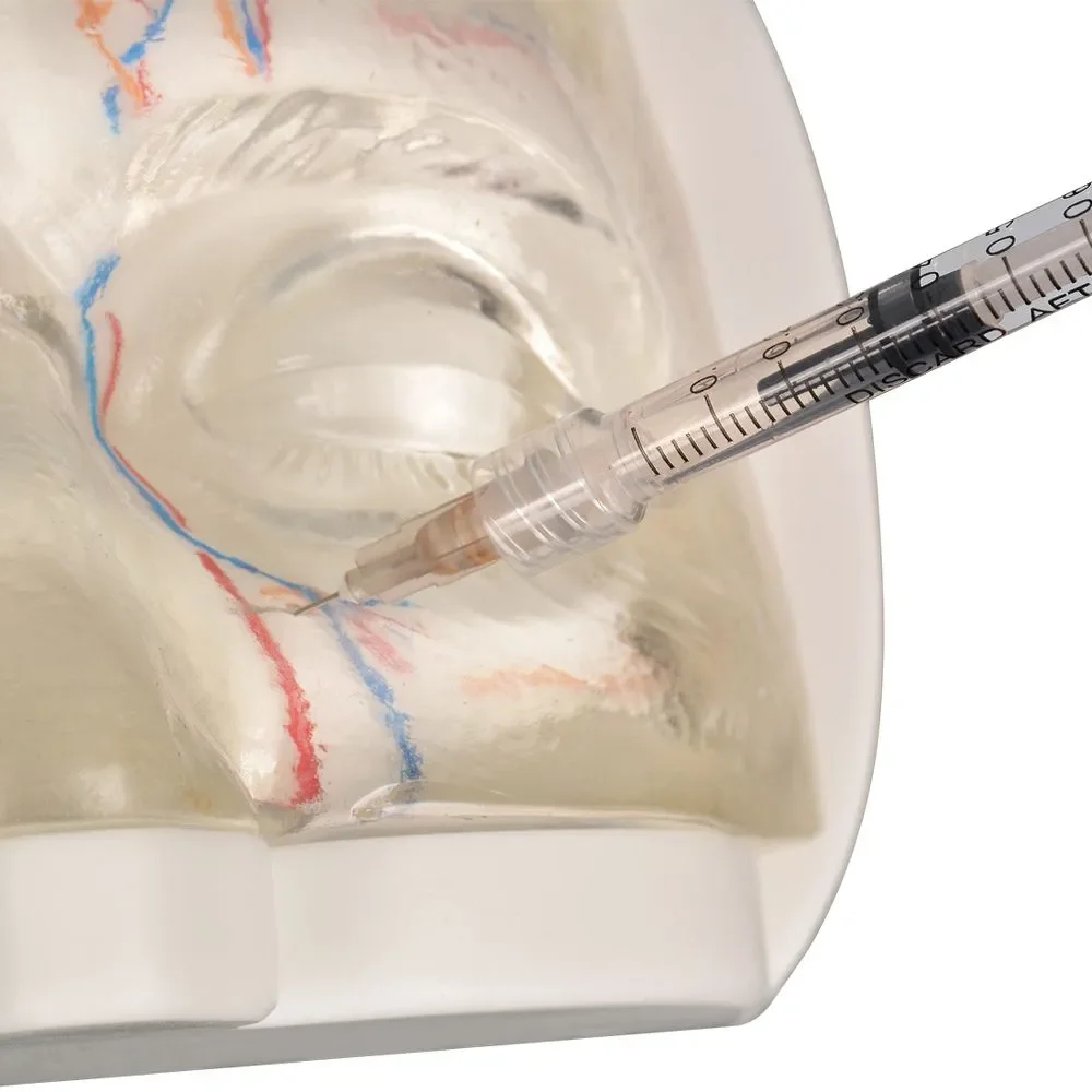 Clear Upper Facial Injection & Thread Lifting Training Model with Simulated Blood Vessels