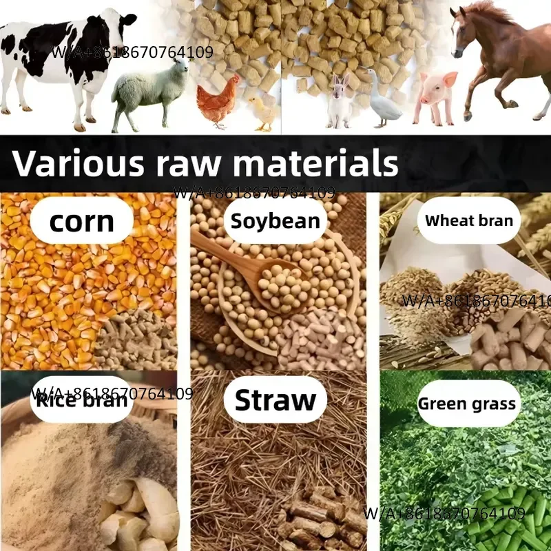 Hot Sale High Efficient Feed Pellet Machine Multi-Raw Material for Cattle Sheep Chicken CE Certified 5 Ton/H Capacity Steel