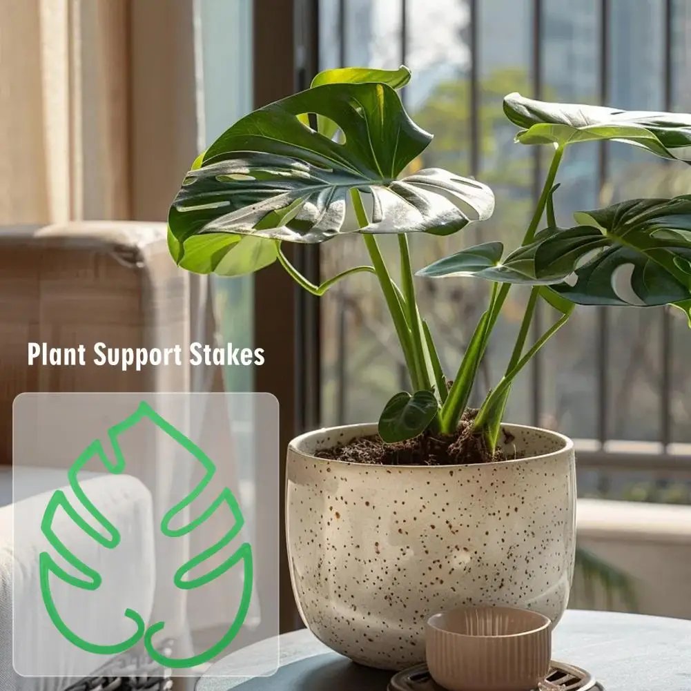 دعم نباتي عالي الجودة على شكل ورقة مونستيرا لدعم النباتات لحامل جذع النمو العمودي للنباتات الداخلية والخارجية