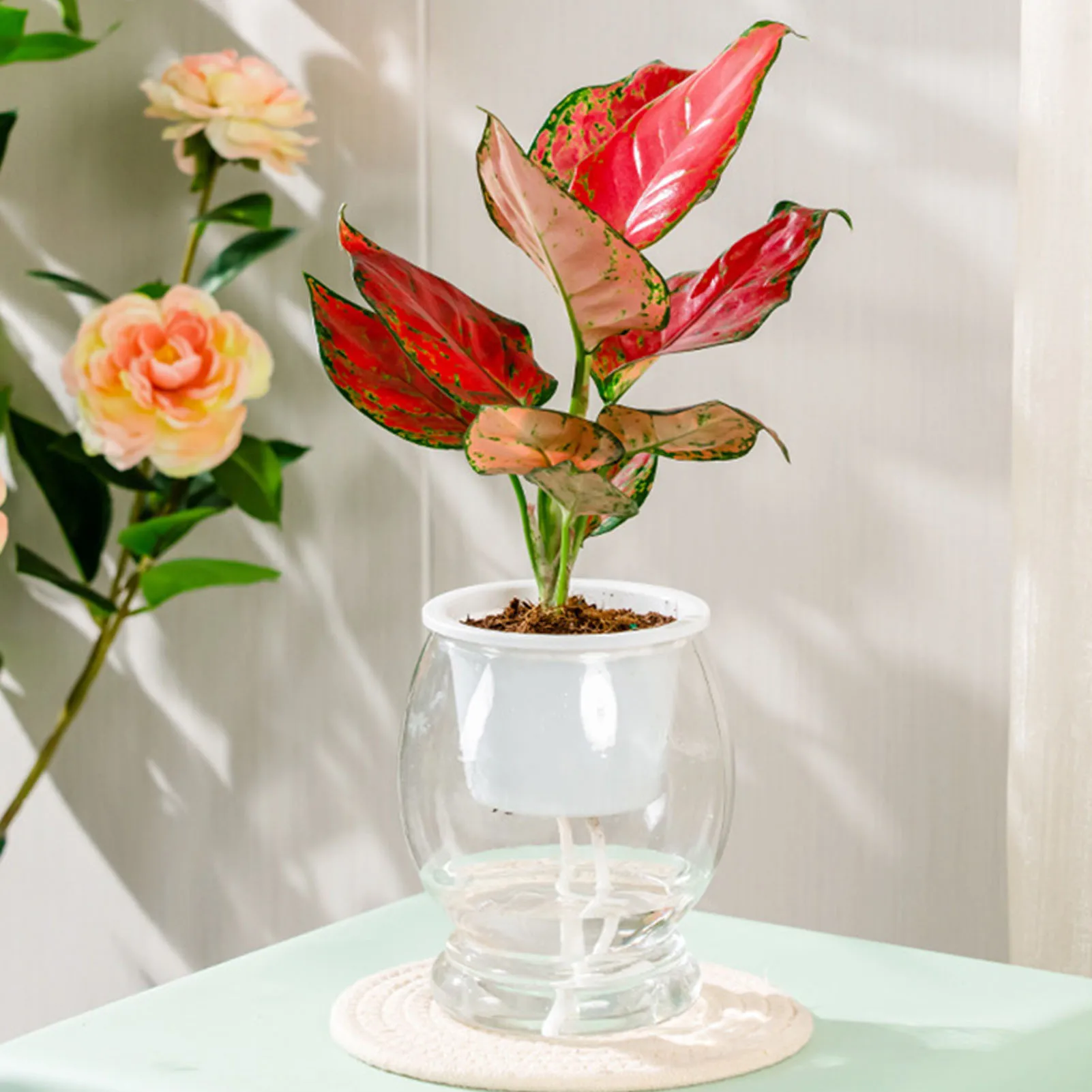 Transparent Self-Watering Plant Flower Pot Plastic Planter Automatic Water-Absorbing Flowerpot Home Garden Decor Lazy Flowerpot