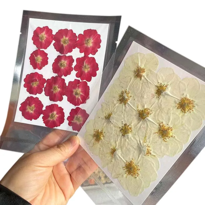 24PCS/Real Natural Pressed Dried Rose Flowers Head, Dry Press Roses Flowers In Beige,Red for Epoxy Resin Jewellery,Phone Case