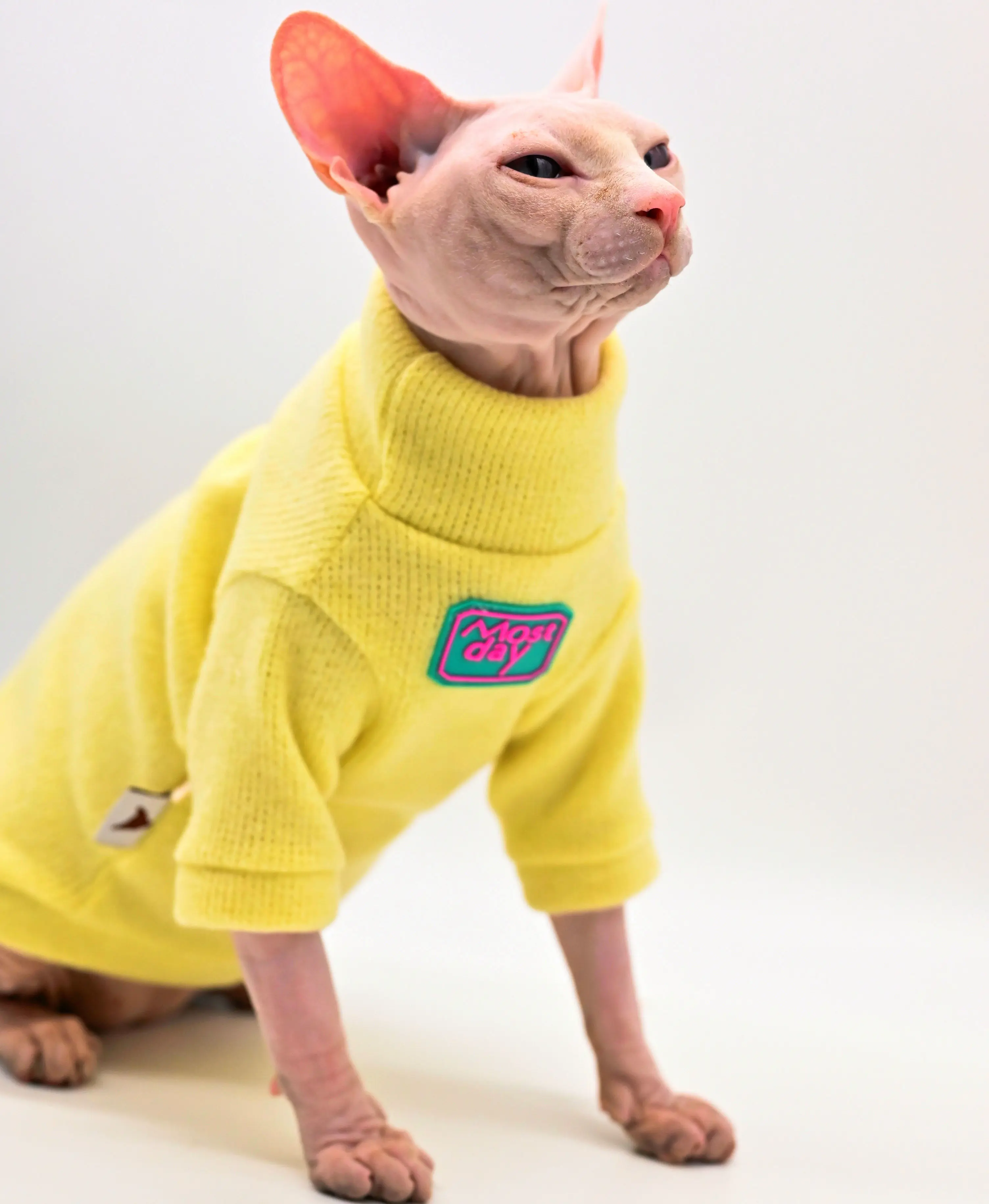 

Sphynx Cat Clothes Warm and Soft Hairless Cat Sweater, Devon Cat Clothes, Cornish, Peter Bald Cat Clothes Cat Outfit