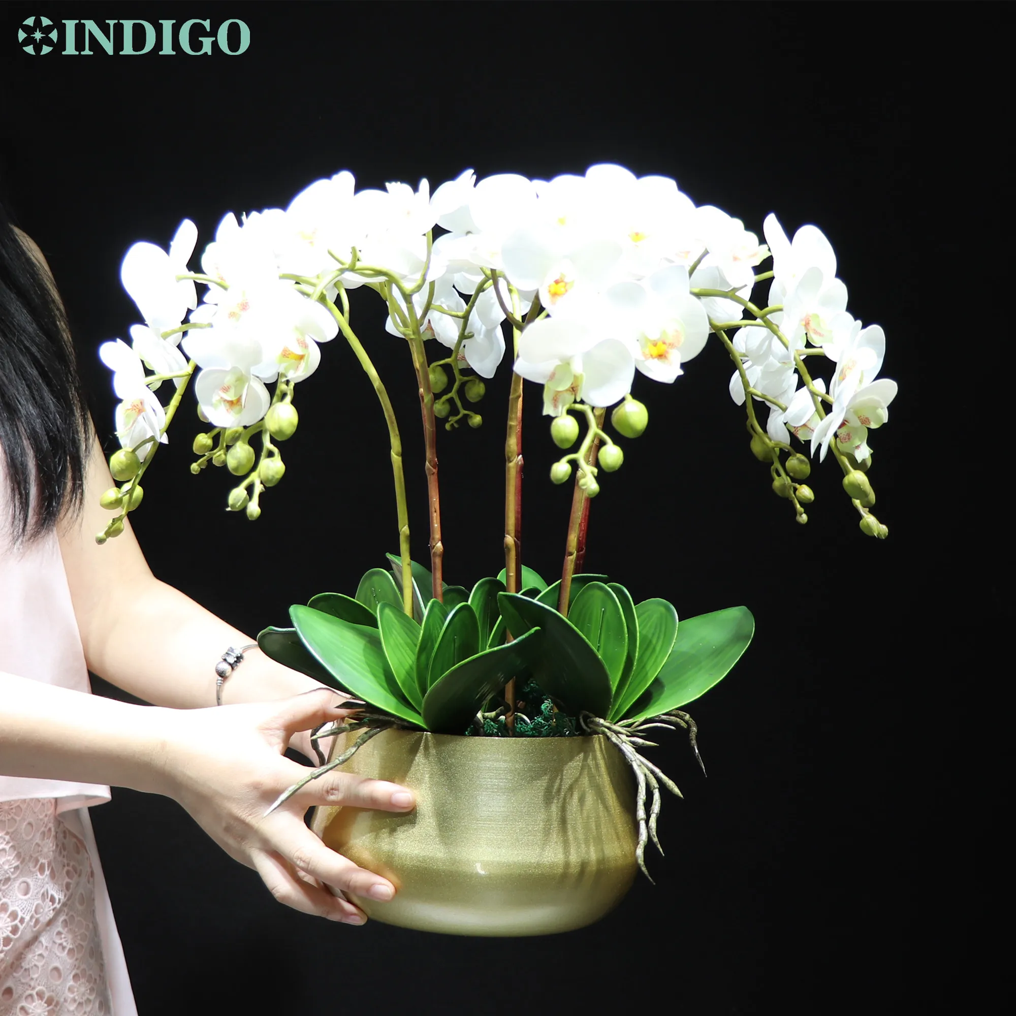 

INDIGO-DIY Flower Arrangment, White Orchid, Real Touch, Office Decoration, Event Centerpiece, 7PCs, 5PCs Leaves, Pot and Moss